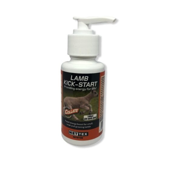 Kickstart for lam