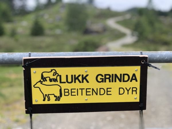 Dyreskilt