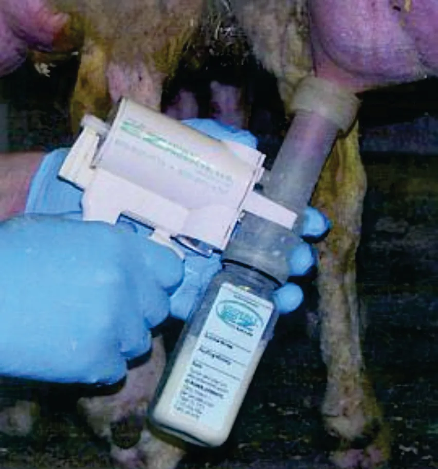 Melkepumpe for sau - Bilde 2